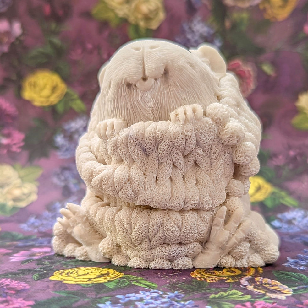 Thumbnail: Paintapet - Pom pom blanket guinea pig