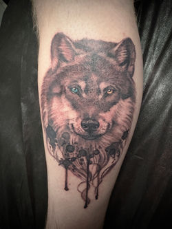 Wolf