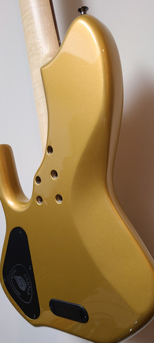 Skjold Erskine Whaleback 6-string 33