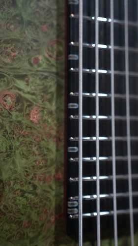 ベース adamovic The Dark 5st fretless bass The Dark | Adamovic Basses