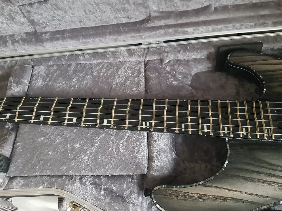 Thumbnail: 2017 Mayones Regius w/True Temperament Frets 6-string