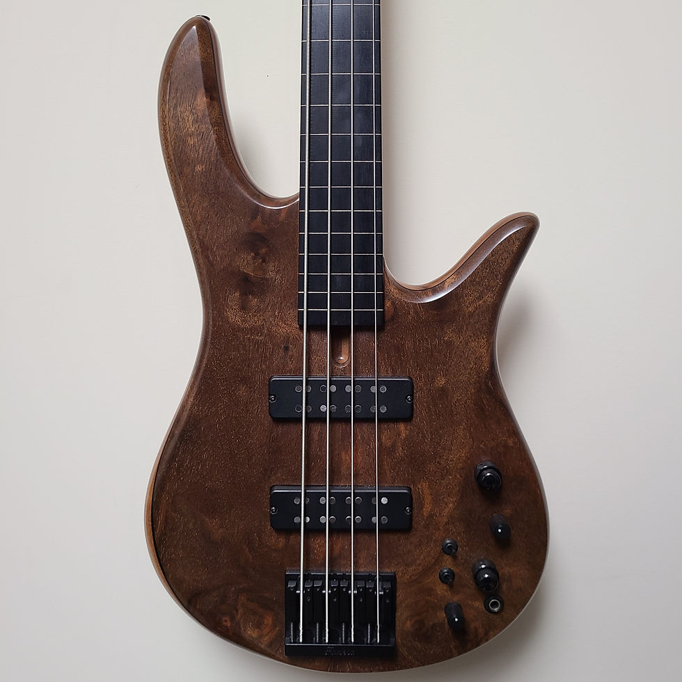 2014 Fodera Monarch Standard Fretless 4-string
