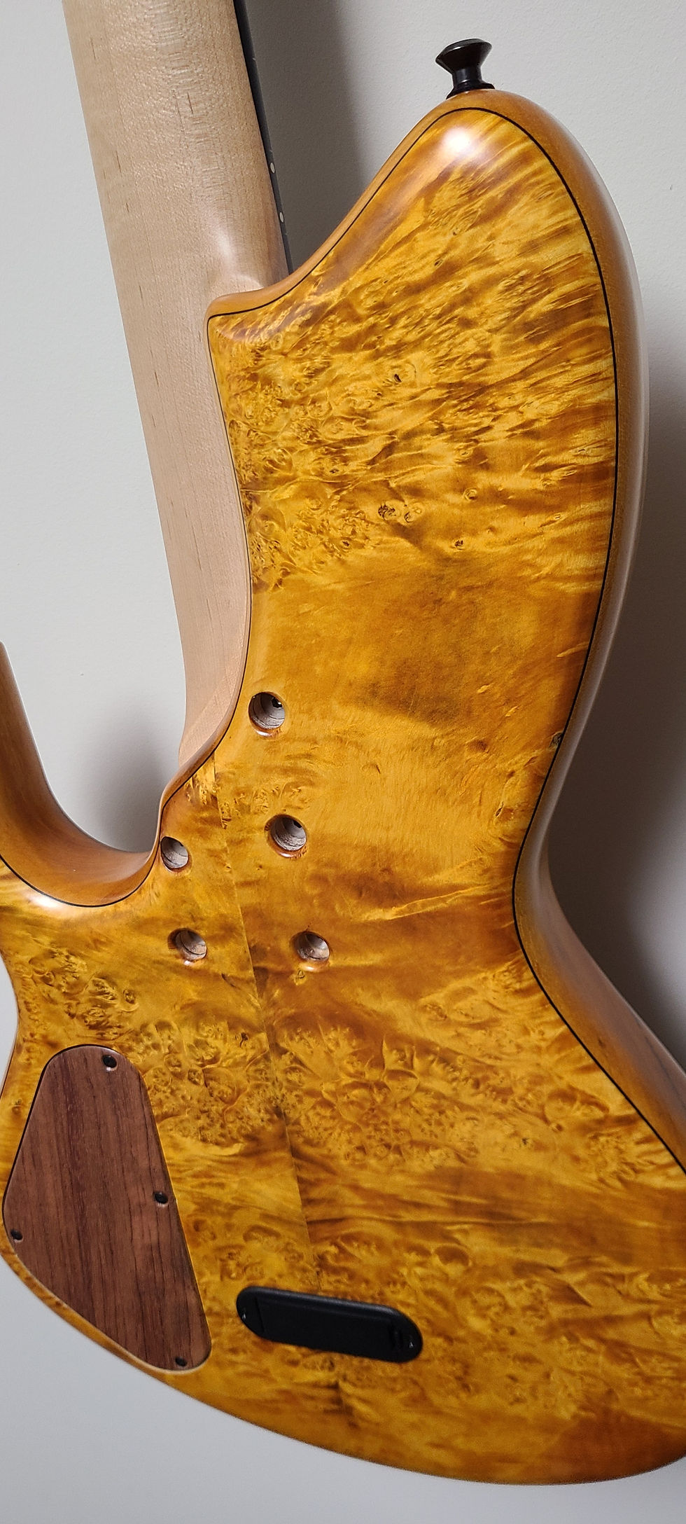 Thumbnail: 2013 Skjold Drakkar Catacomb Fretless 5-string