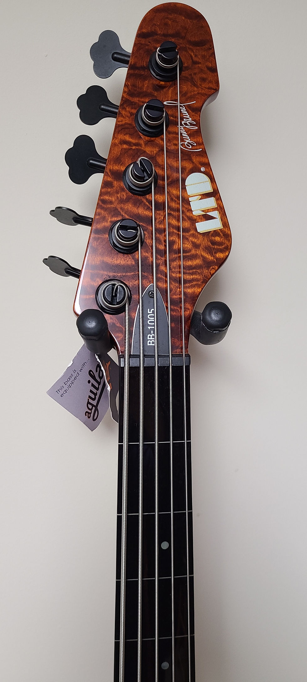 Thumbnail: ESP LTD BB-1005 Bunny Brunel Signature 5-string Fretless