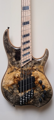 Dingwall Z2 5-string - Buckeye Burl X-top, Birdseye Maple