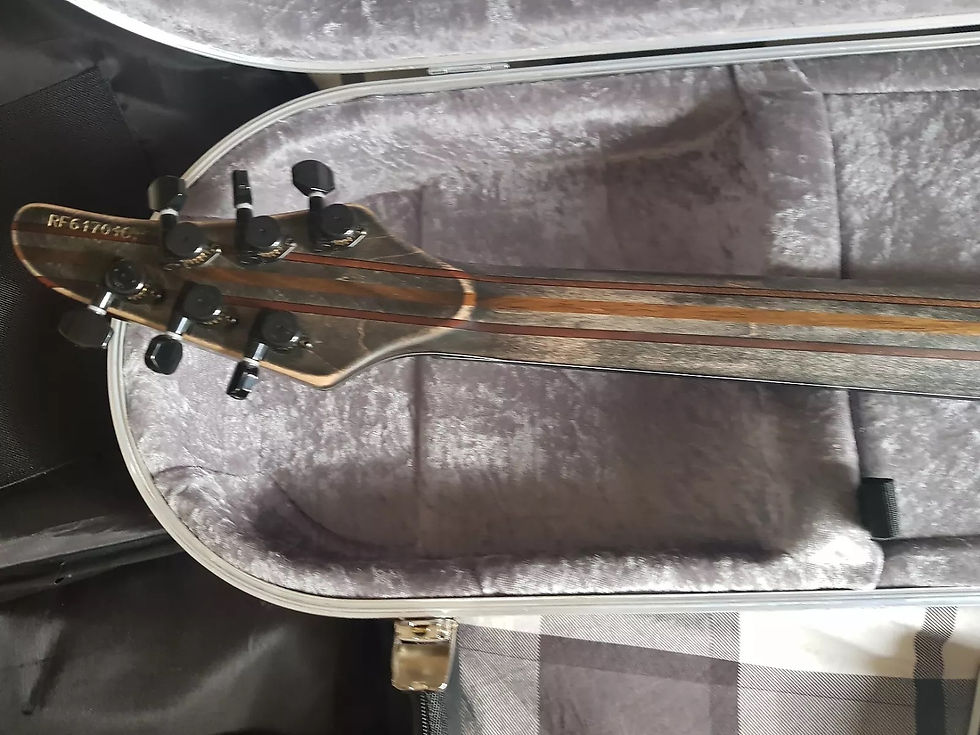 Thumbnail: 2017 Mayones Regius w/True Temperament Frets 6-string