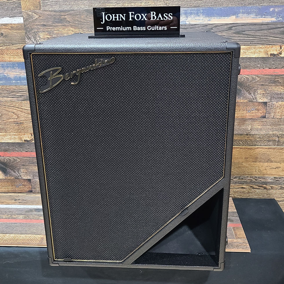 Bergantino Reference II Series 115 Bass Guitar Speaker John Fox Bass
