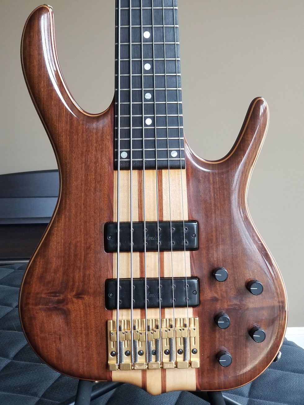 1997 Ken Smith BSR6EG Black Tiger 6-string