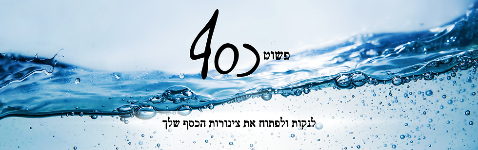 פשוט כסף באנר אתר 2026.png