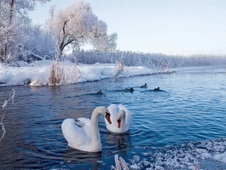 be943cac40d3b76585f392c8c4d356a9.gif