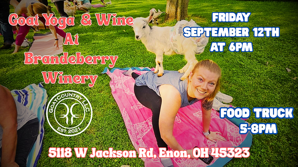 Goat Yoga & Wine at Brandeberry Winery