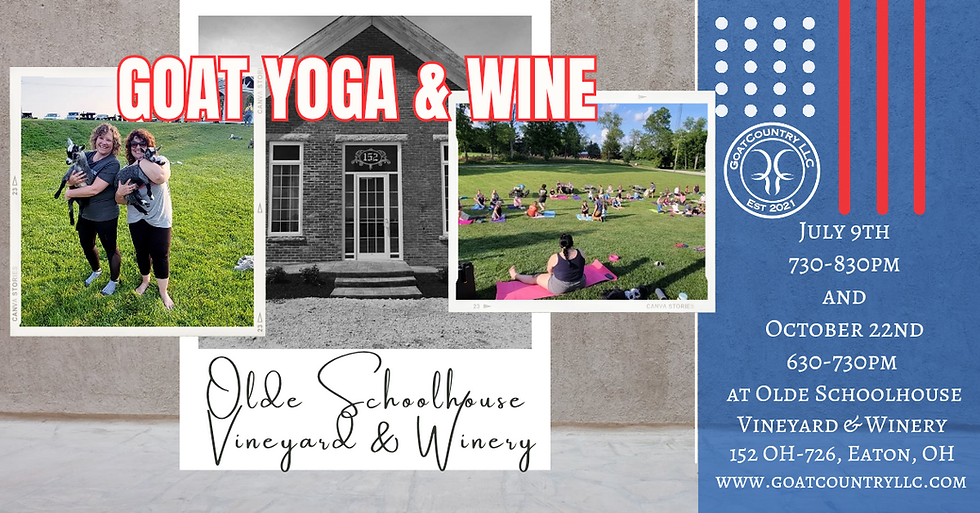 Goat Yoga & Wine at Olde Schoolhouse Vineyard & Winery