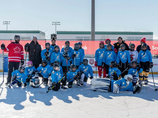 The NHL's Canadian Takeover