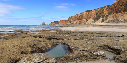 Rockpools to Lighthouse