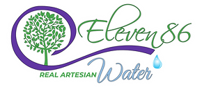 E86RAW-logo-color.png