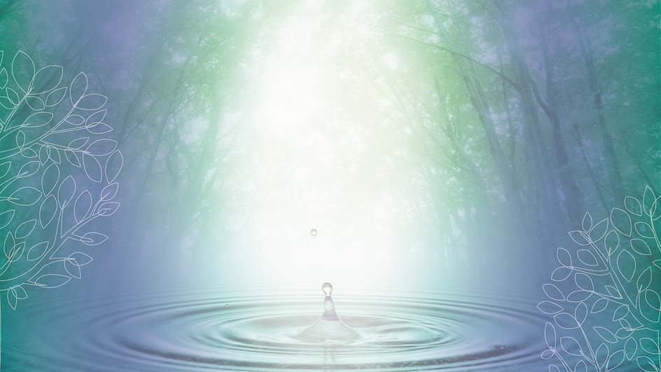 image (2).png