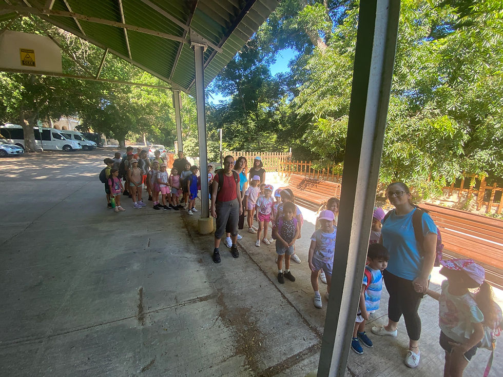 From the Woods to the Heart – Reflections on Module One of The Creative Express 2025