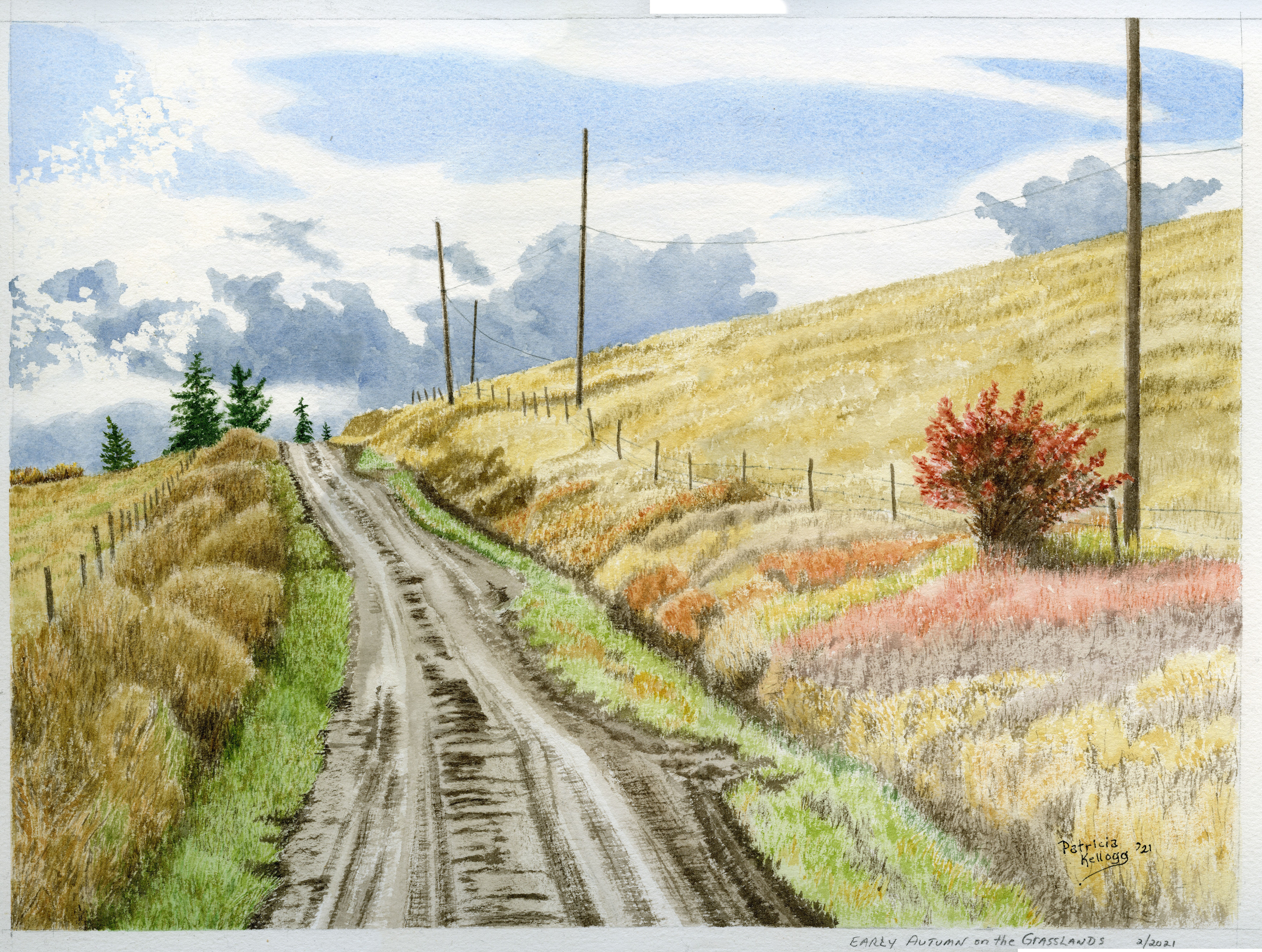 Early Autumn on the Grasslands