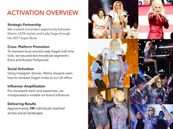 Lady Gaga Campaign by Ally Holt