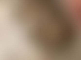 7月更新 Munchkin 藍金曼基短腳Available