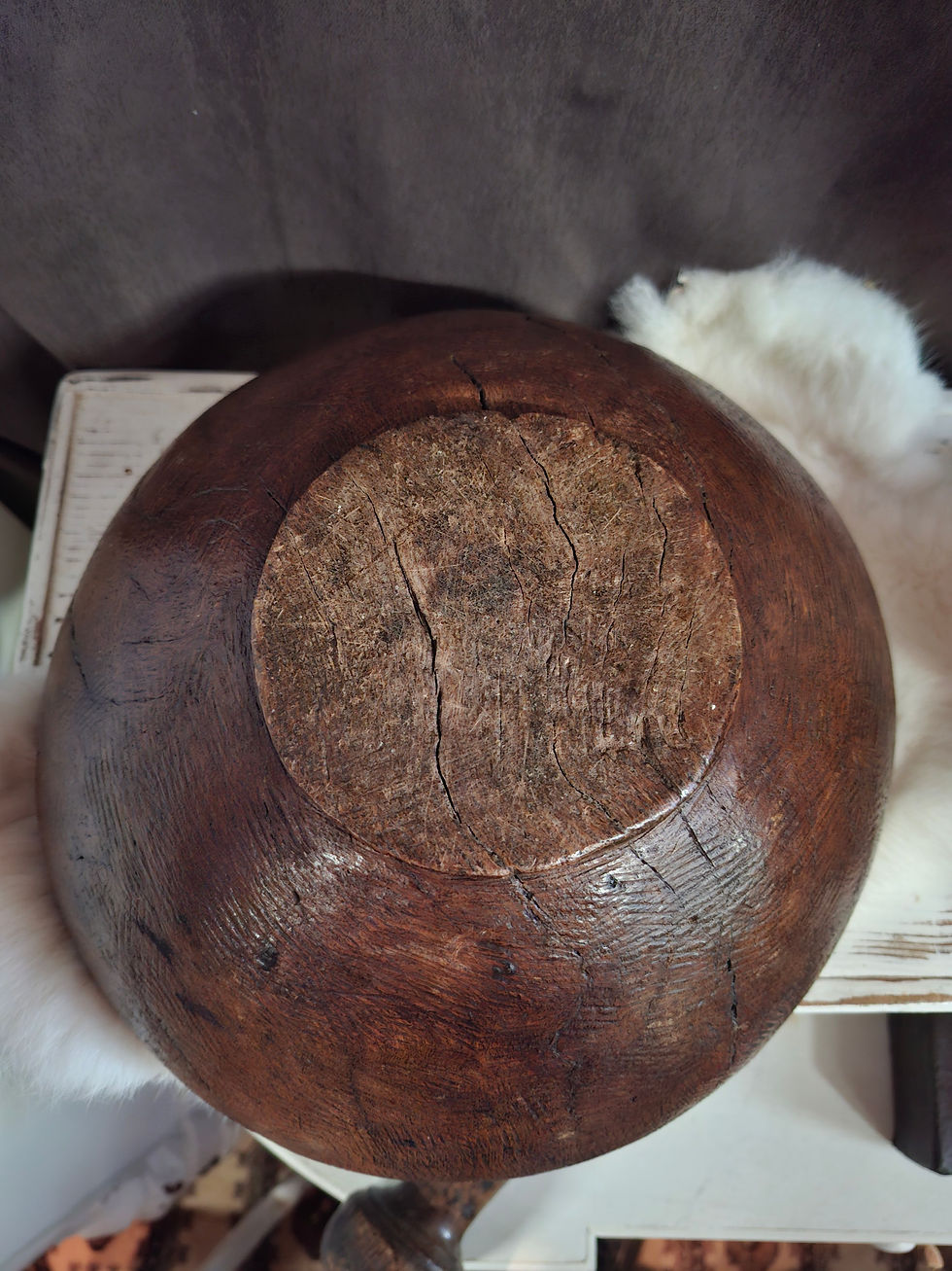 Thumbnail: Oude vijzel