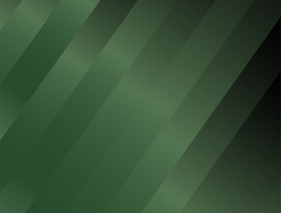 Banners en blanco UDSO-18 copy.jpg