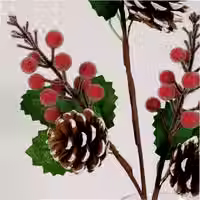 Thumbnail: Triple Cone ad Berry Pic
