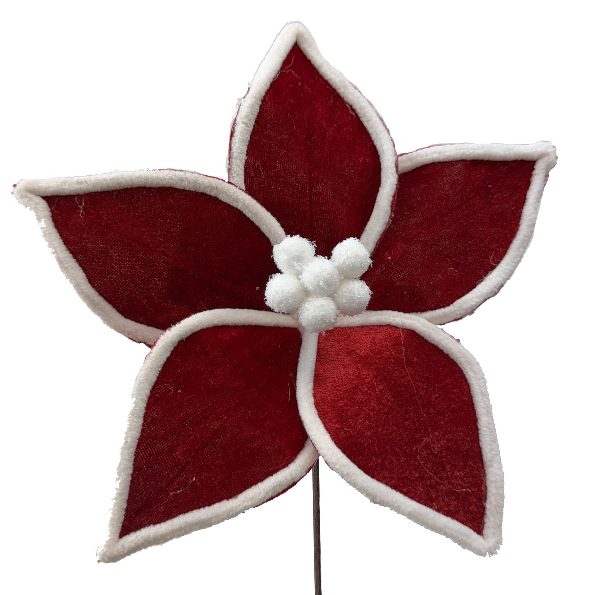 22cm Red Velvet Poinsettia with White Trim
