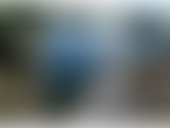 Irmãos mortos após afogamento no Canal do Sertão teriam pego carroça escondidos do pai