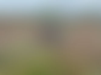 Carro-forte capota na BR-423 e ocupantes sofreram ferimentos leves em Delmiro Gouveia