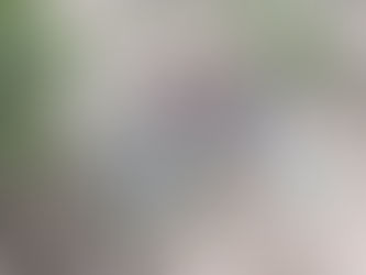 Homem morre após colidir moto e despencar de ponte na AL-220 em São José da Tapera