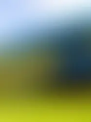 Governo de AL divulga locais de provas do concurso do Detran-AL no próximo dia 11