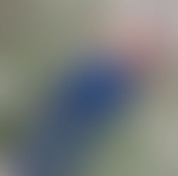 Homem é encontrado morto após desaparecer em barragem no interior de Canapi