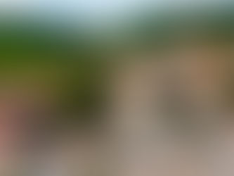 Projeto que reduz sessões na Câmara de Pariconha é aprovado no mesmo dia em que foi apresentado