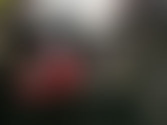 Acidente entre Tapera e Olho D’água das Flores deixa uma pessoa morta e outras 2 feridas