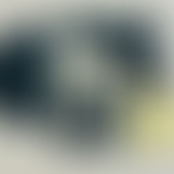 PCAL apreende arma e conclui inquérito envolvendo vereador de Dois Riachos por ameaça em Cacimbinhas