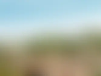 Polícia Federal realiza operação em Mata Grande com apoio da equipe do CISP 