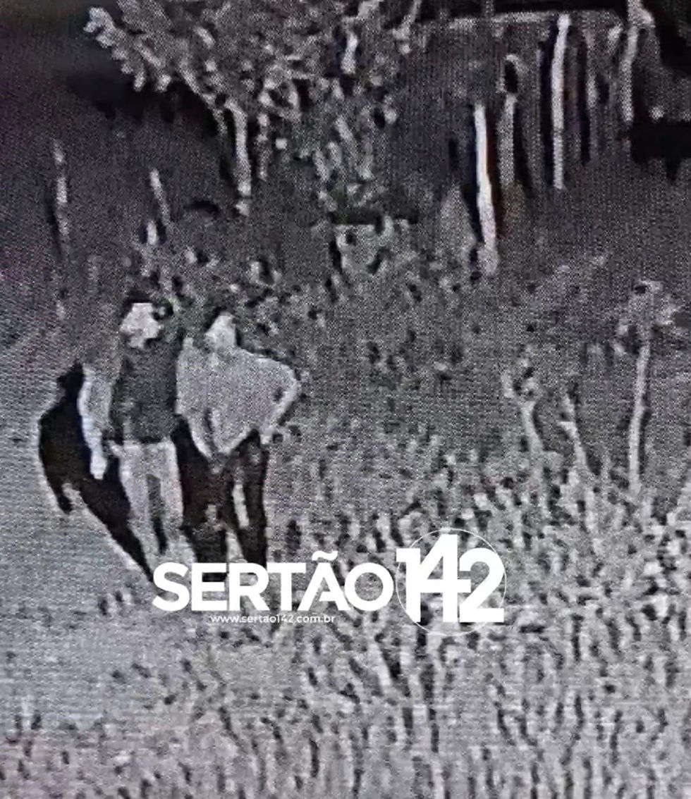 Suspeito foge após furto de nove ovelhas, mas polícia recupera animais e identifica autor em Mata Grande