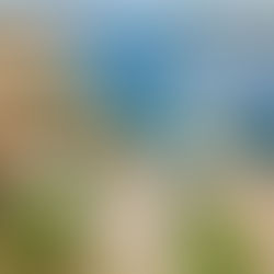 Homem preso por oferecer R$ 4 a criança em troca de beijo é solto em audiência de custódia em Pão de Açúcar