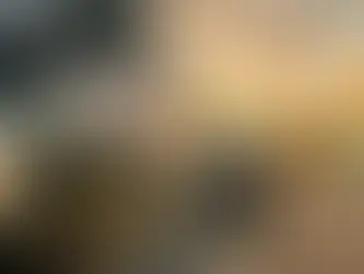 PF cumpre mandados em AL e 5 estados contra grupo que atua no tráfico e roubo de carga