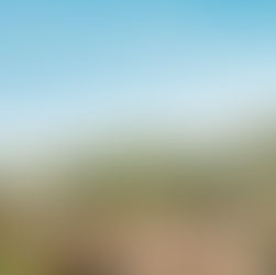 Mata Grande adere ao padrão nacional da Nota Fiscal de Serviço eletrônica