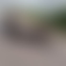 Carro perde roda, capota na AL-220 e deixa duas pessoas feridas entre Olho D’Água do Casado e Delmiro Gouveia