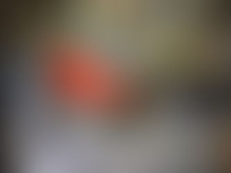 Homem é preso em Piranhas por posse ilegal de arma de fogo e receptação de moto furtada