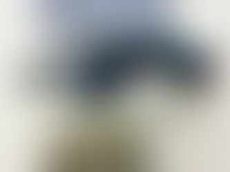 Suspeito de tentativa de homicídio é preso por porte ilegal de arma de fogo em Canapi