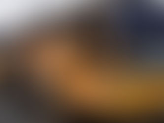 Ônibus envolvido em acidente em MG que matou cinco pessoas acumulava 30 autuações, diz a ANTT