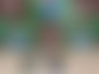 PM cumpre mandados contra organização criminosa em Delmiro Gouveia; munições e celulares são apreendidos