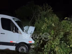 Veículo sai da pista e bate em árvore após desviar de cavalos soltos na AL-130 entre Ouro Branco e Maravilha