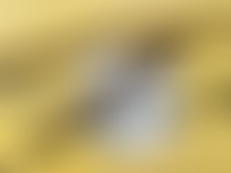 Homem é preso em flagrante por violência doméstica em Inhapi