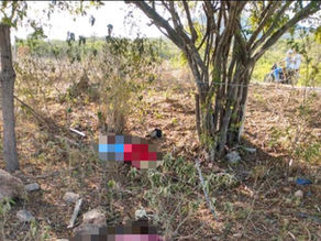 Moto bate em árvore e deixa dois mortos em São José da Tapera