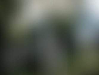 Homem morre após perder o controle do veículo e colidir contra árvore na AL-130, em Pão de Açúcar